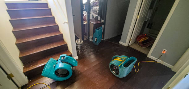 Professional Water damage restoration in Fort Loramie, OH