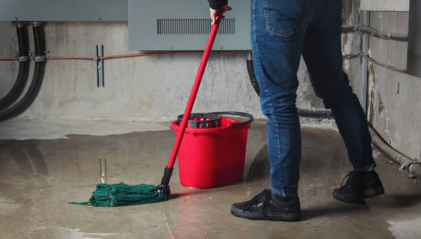Best Emergency water damage restoration  in Fort Loramie, OH