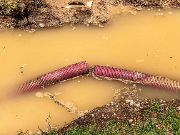 Best Water damage restoration process  in Fort Loramie, OH